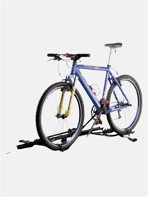 Controllo telaio bici
