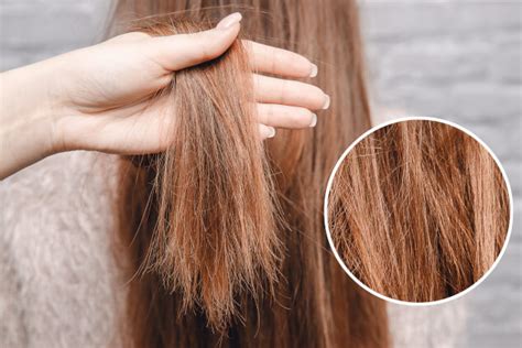 doppie punte capelli