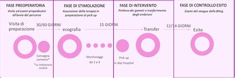 Schema del percorso di PMA