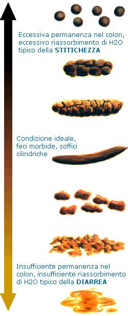 illustrazione schematica delle variazioni di colore e consistenza delle feci nel neonato