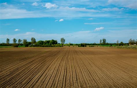 Immagine di terreni agricoli