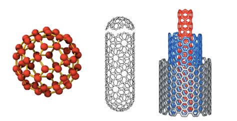 Placenta e nanoparticelle di carbonio