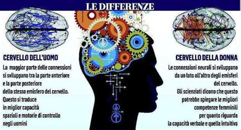 Differenze nel cervello infantile tra esposti e non esposti a metamfetamina