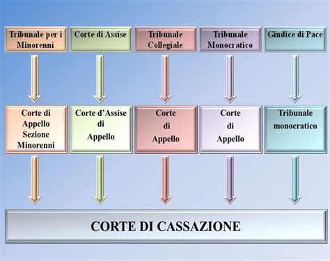 grafico che illustra le fasi del procedimento giudiziario per l'autorizzazione all'IVG