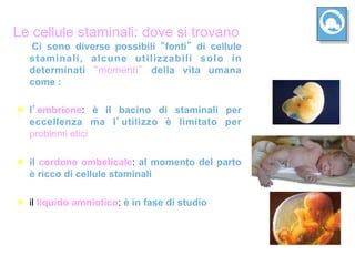 Processo di Estrazione di Cellule dal Liquido Amniotico