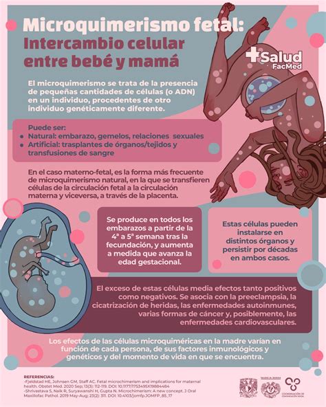 Schema del Microchimerismo Feto-Materno