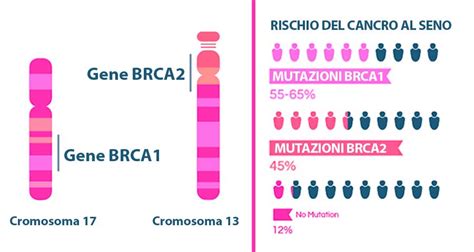 Infografica sui geni BRCA e il rischio di tumori ereditari