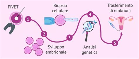 schema grafico del processo di diagnosi genetica preimpianto