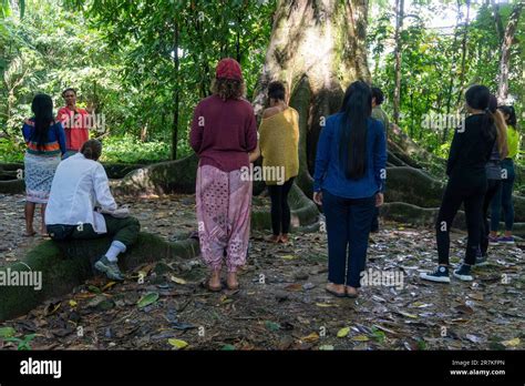 persone che praticano il bagno di foresta