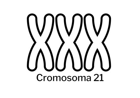 Diagramma del cromosoma 21