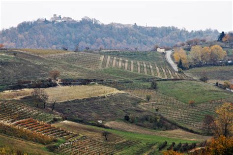 paesaggio collinare tra Langa e Monferrato con una culla antica in primo piano