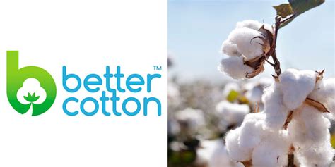 Schema iniziativa Better Cotton