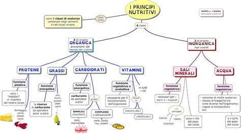 Schema dei macronutrienti NPK e loro effetti sulle piante