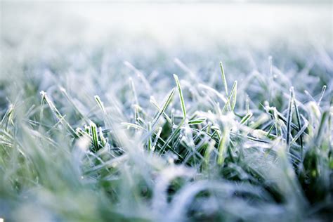 Prato coperto di brina invernale