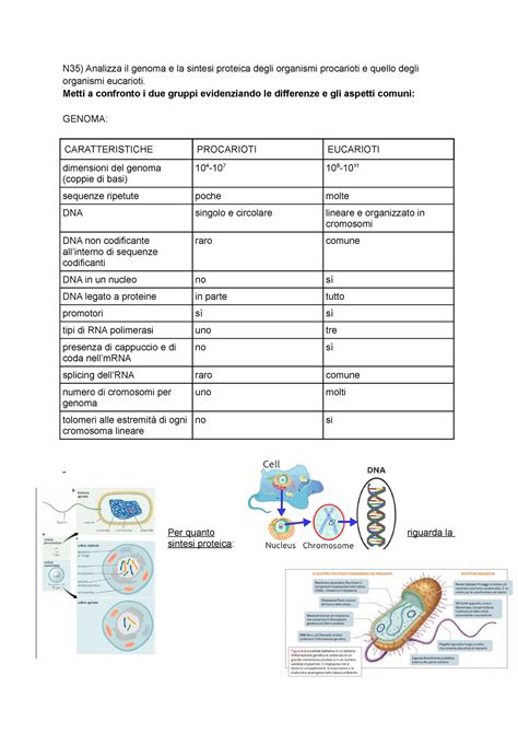 Schema di confronto normative seggiolini