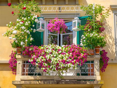 Piante fiorite sul balcone