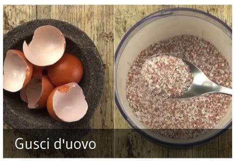 Gusci d'uovo tritati