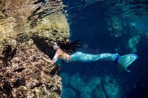Sirena che nuota nell'oceano con pesci