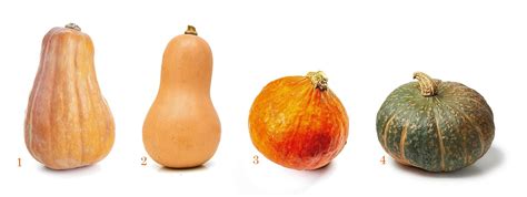 Zucca Ndeku utilizzata come contenitore