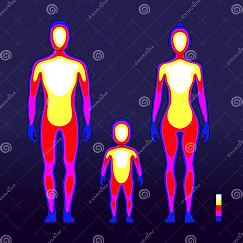 illustrazione schematica dell'anatomia intima femminile e dell'importanza del bilanciamento del pH