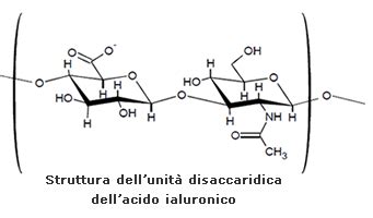 infografica che mostra la struttura dell'acido ialuronico e il suo ruolo nell'idratazione cellulare