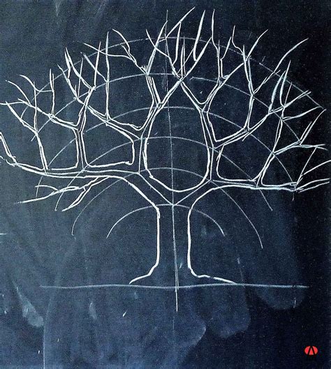 illustrazione fotografica che mette a confronto la struttura botanica di un albero con la ramificazione dei vasi sanguigni placentari