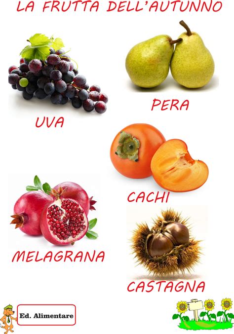 illustrazione di un nespolo con frutti e foglie autunnali