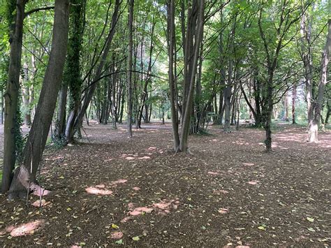 Illustrazione schematica delle vasche di contenimento nel Bosco delle Querce e monitoraggio ambientale