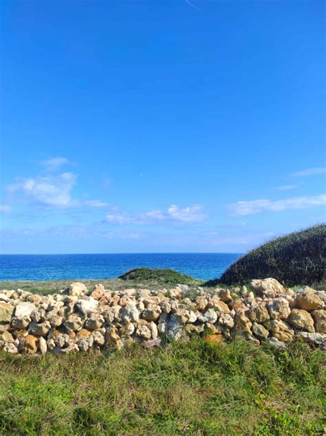 Scogliere rocciose e muretti a secco del Salento
