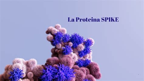 Confronto proteina Spike e Sincitina-1