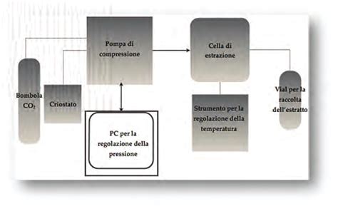 Infografica che illustra il processo di estrazione CO2 supercritica