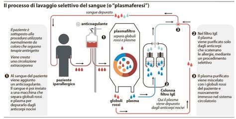 infografica che confronta il funzionamento della plasmaferesi e dell'azione di caplacizumab