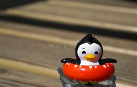Pinguino giocattolo in gomma naturale