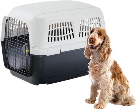 Dettaglio di un trasportino di alta qualità con sistema di ventilazione e chiusura sicura