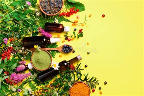 Erbe medicinali e ingredienti naturali utilizzati nella medicina tradizionale Amish