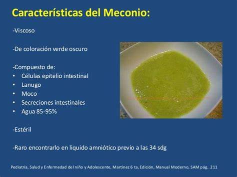 Liquido amniotico normale vs tinto di meconio