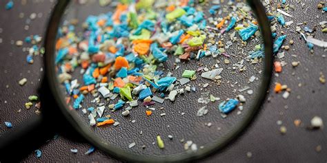 Microplastiche e inquinamento ambientale causato da rifiuti non differenziati