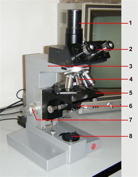 fotografia al microscopio ottico di metafasi umane pronte per il bandeggio cromosomico