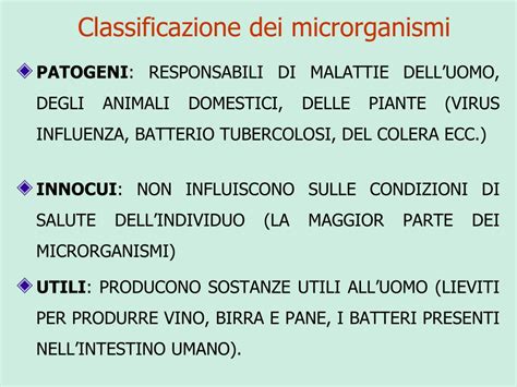 schema dei principali microrganismi responsabili di infezioni gastrointestinali