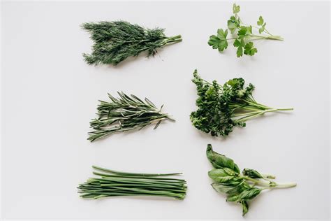 Un assortimento di erbe fresche per la salsa verde