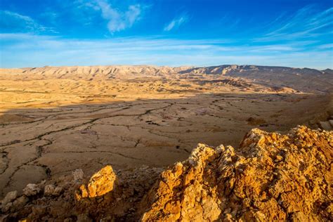 rappresentazione di Ismaele nel deserto del Negev