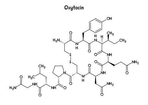 Struttura molecolare dell'ossitocina