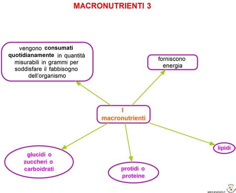 schema degli alimenti consigliati per un corretto apporto di micronutrienti durante l'allattamento