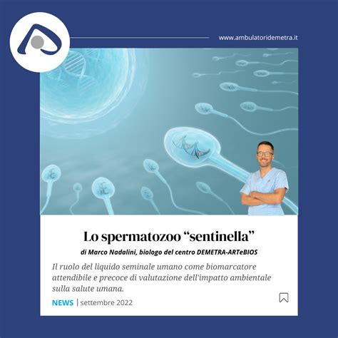 Infografica sugli effetti dello stile di vita sulla qualità del liquido seminale