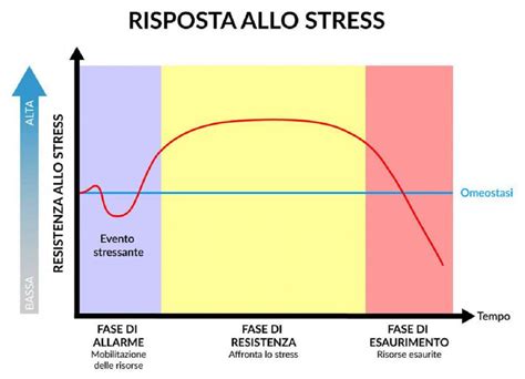 Fattori di stress