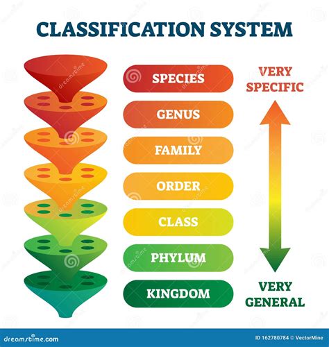 Schema del sistema di classificazione PALM-COEIN