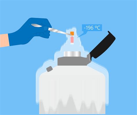 Laboratorio con attrezzature per la crioconservazione
