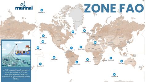 Mappa schematica delle zone di spedizione e logistica internazionale