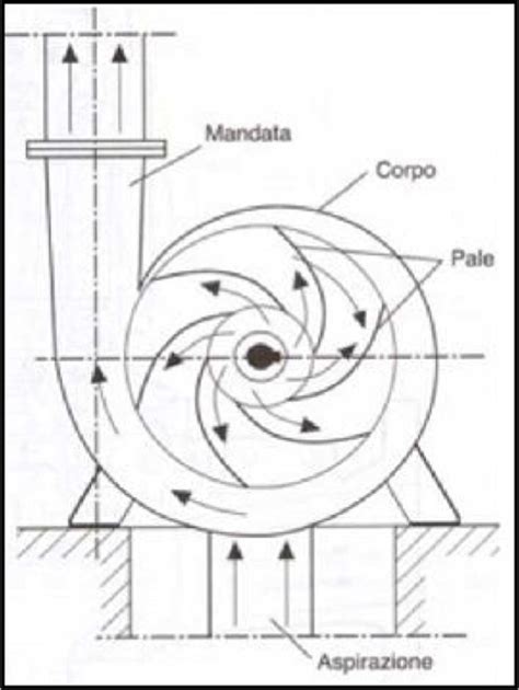 schema di una pompa elastomerica
