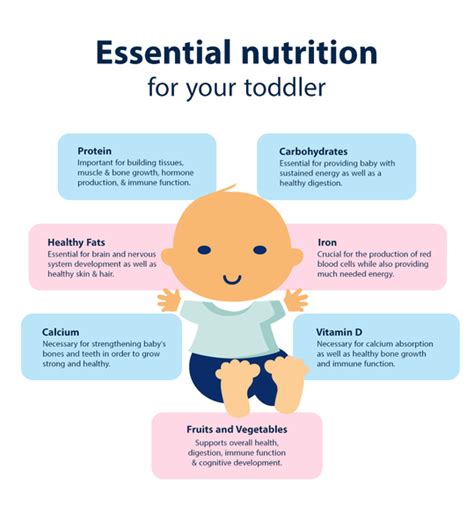 Nutritional needs of toddlers